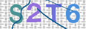 תמונת מבחן-תמונה