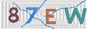 תמונת מבחן-תמונה
